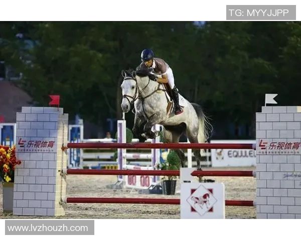 乐视足球赛事直播全新体验尽享精彩赛事瞬间与互动乐趣